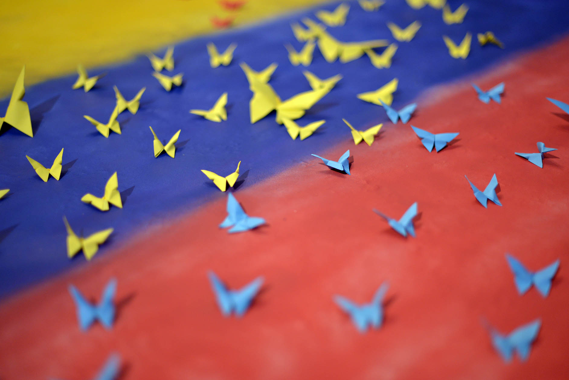 Paper birds arranged over the Colombian flag
